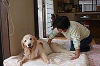 犬の写心家 ホタパパが語る パートナーの幸せな旅立ちのために 第1回