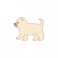 【専門家が解説】子犬用ドッグフードおすすめ人気ランキング5選